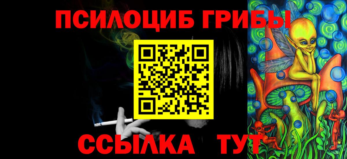 Галлюциногенные грибы Cubensis Томск