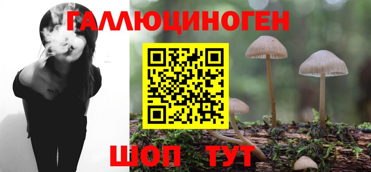 Томск  Псилоцибиновые грибы прущие грибы  Вход с VPN 